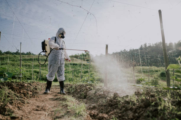 Best Commercial Pest Control Services  in Grant, NE