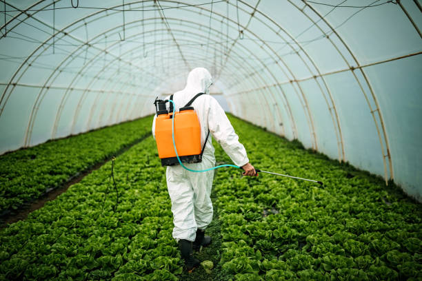 Best Pest Control for Homes  in Grant, NE
