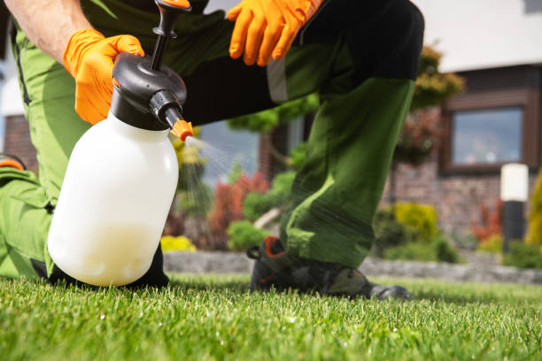 Best Bed Bug Extermination  in Grant, NE